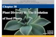 30 Lecture Plant Diversity II