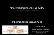 Thyroid Gland Slides