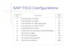 SAP FICO Configurations 1