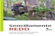 "Sencillamente REDD". Guía de CIFOR sobre bosques, cambio climático y REDD.