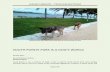 South Pointe Park - a Dog's World in South Beach