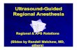 05_Ultrasound Guided Regional Anesthesia Malchow