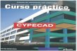 Libro Cypecad 2003