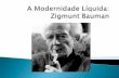 A Modernidade Líquida- Zigmunt Bauman