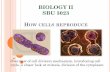 Topic 1 - How Cell Reproduces