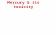 MERCURY LEAD ARSENIC CADMIUM TOXICITY
