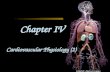 ChapterIV Cardiovascular Physiology.2(2012)