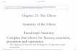 Chapter 23_ the Elbow