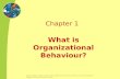 Chapter 1-What is Organizational Behaviour