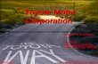 Toyota Operation+Management Spring11