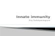 K6 - Innate Immunity2