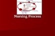 Holistic Nursing Process