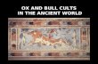 Ox and Bull Cults