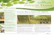 Ethical Times Winter Newsletter 2012 v4