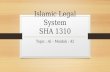 Islamic Legal System