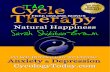 Cure Chronic Anxiety and Depression