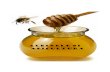 Albinele Si Apicultura - Afacere Cu Profit Din Primul An