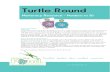 Turtle Round Print Able Card Game for Addition Subtraction
