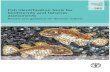 Fish Identification Tools for Biodiversity and Fisheries Assessments