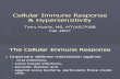 Cellular Immune ResponseAndHypersensitivity