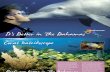 Bahamas Diving Brochure