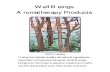 Aromatherapy Products.pdf