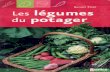 Legumes Du Potager