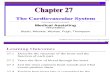 Chapter 27 the Circulatory System