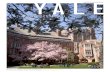 Yale Viewbook