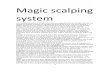 Magic Scalping System2
