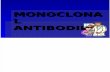 18768515 Monoclonal Antibody
