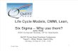 Life Cycle Model- CMMI - Lean Six Sigma