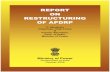 Report on Restructuring of APDRP