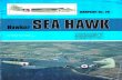 Warpaint. #029. Hawker Sea Hawk