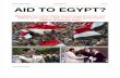 (Edition #1) Online Debate “American Aid to Egypt?”