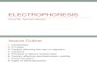 Electrophoresis Editted