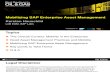 Mobilizing SAP Enterprise Asset Management
