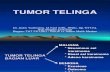 Tumor Telinga