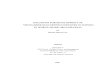 Huong Thesis