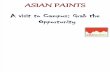 Asian Paints Complete Overview