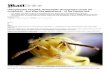 Bee Photographs Reveal Hidden Beauty, Alien-like Shapes, Colours and Patterns of the Insects _ Mail Online