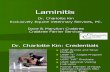 Laminitis Client Ed Spring 2009 (1)