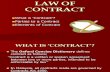 Contract Law.ppt