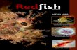 Redfish Magazine Issue 21 Eu