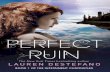 Perfect Ruin - Extract