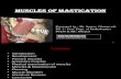 Muscles of Mastication Saurav 2