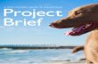 A Dog-owner's Guide To Sarasota, FL: Project Brief