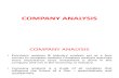 3 Company Analysis