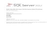 SQL Server Data Quality Services PerformanceBestPractices