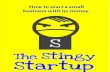 The Stingy Startup